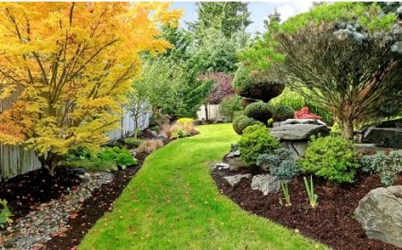 Why Landscaping Matters: Enhancing Aesthetics and Value for Commercial Properties