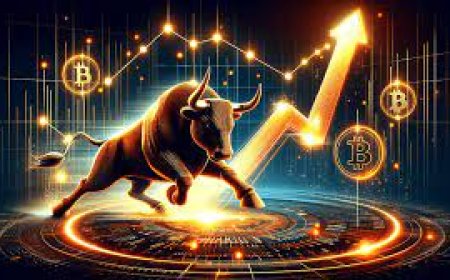 NFT-Specific Wallets: Do You Need a Separate Wallet for NFTs in 2025?