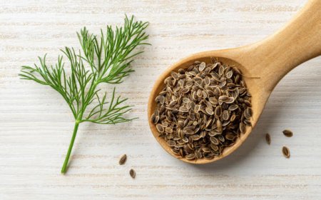 Flavorful World of Dill Seeds Uncovered