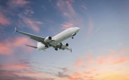 How Lufthansa Airlines  Phone Number Miami Helps Resolve Travel Issues