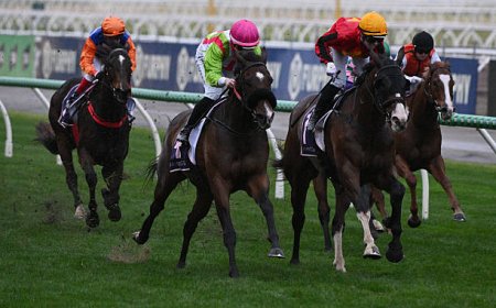 Why Top PalmerBet Is a Go-To Choice for Aussie Punters