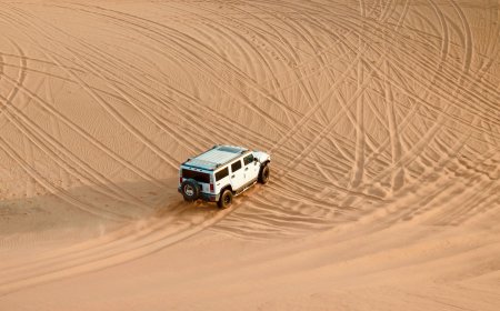 Explore the Premium Desert Safaris & Abu Dhabi City Tours