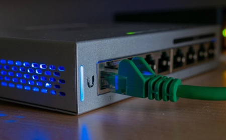 Understanding Networking Hubs in Modern IT Hardware