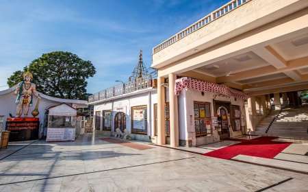 Create Romantic Memories with Himachal Honeymoon Packages