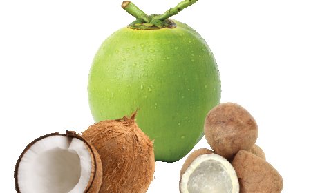 What Does Coconut Water Do for Your Hair? Benefits You Need to Know