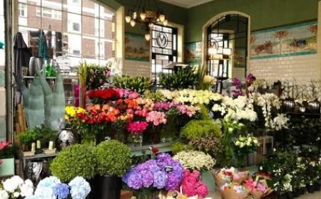 Seasonal Guide to Buying Flowers Toronto in 2025