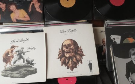 Why Old Bollywood Vinyl Records Are Still Loved by Collectors Worldwide