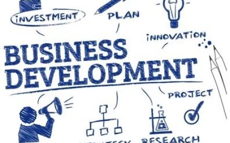 Ark Business Development Process Step-by-Step