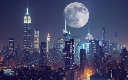 How Animation Boosts Your Brand’s Online Engagement