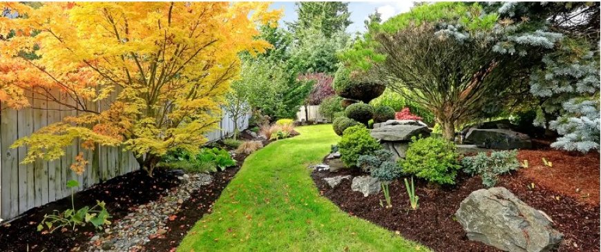 Why Landscaping Matters: Enhancing Aesthetics and Value for Commercial Properties