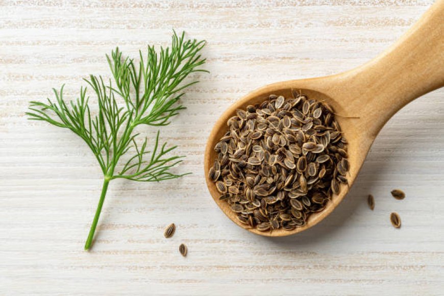Flavorful World of Dill Seeds Uncovered