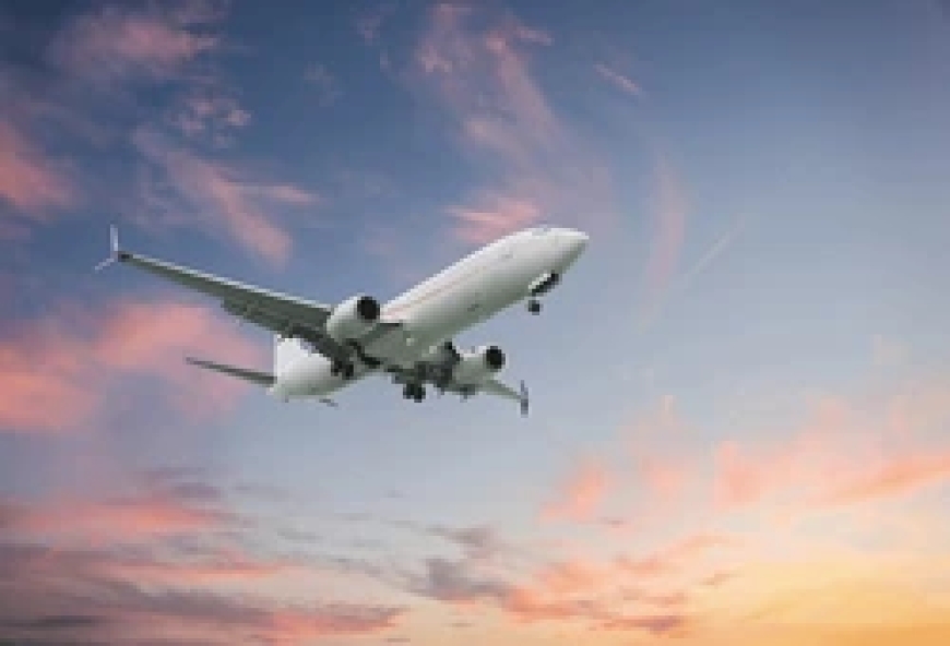 How Lufthansa Airlines Phone Number Miami Helps Resolve Travel Issues