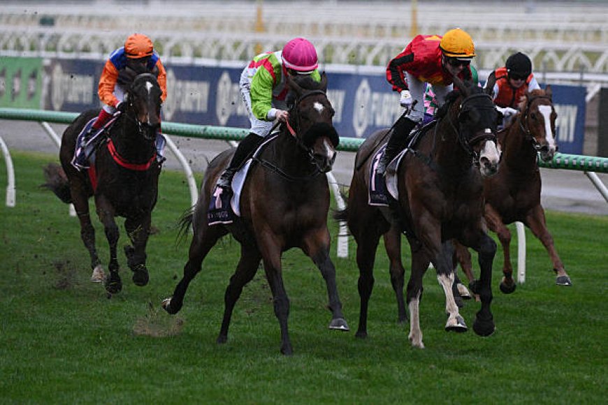 Why Top PalmerBet Is a Go-To Choice for Aussie Punters