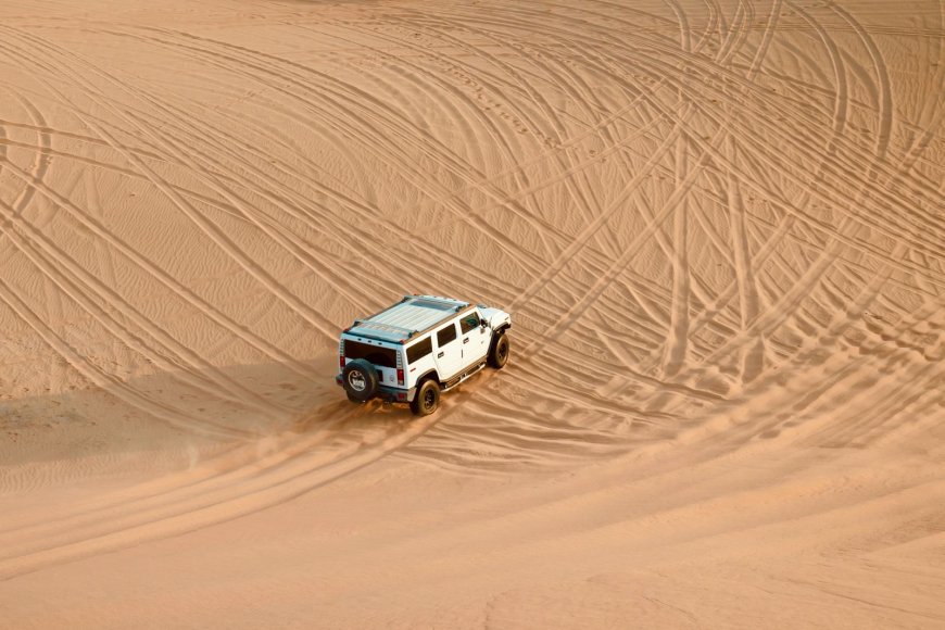 Explore the Premium Desert Safaris & Abu Dhabi City Tours