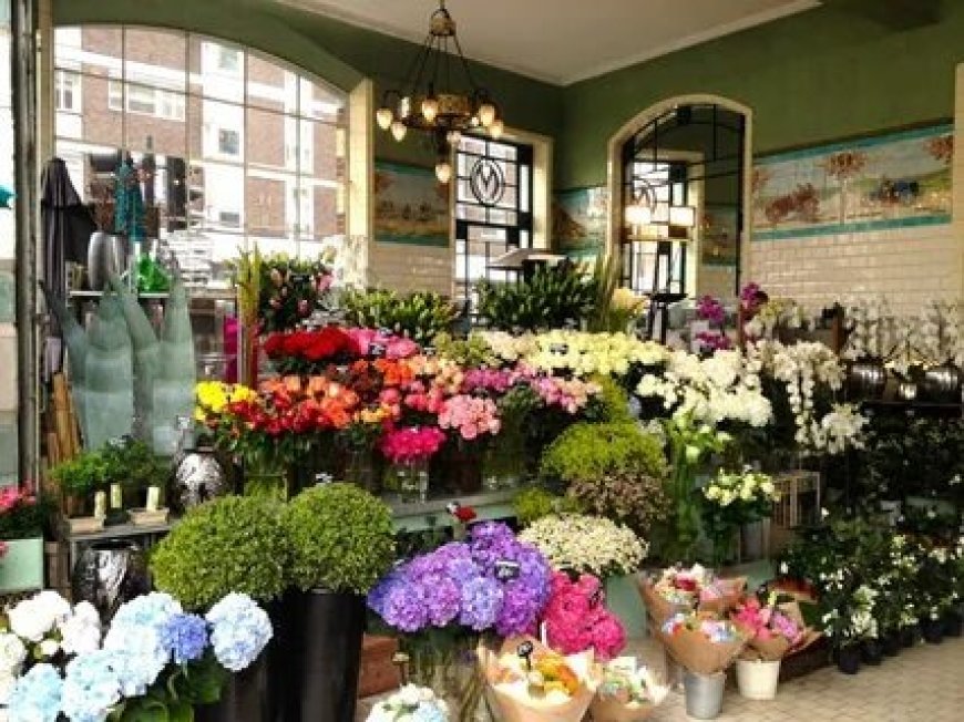 Seasonal Guide to Buying Flowers Toronto in 2025