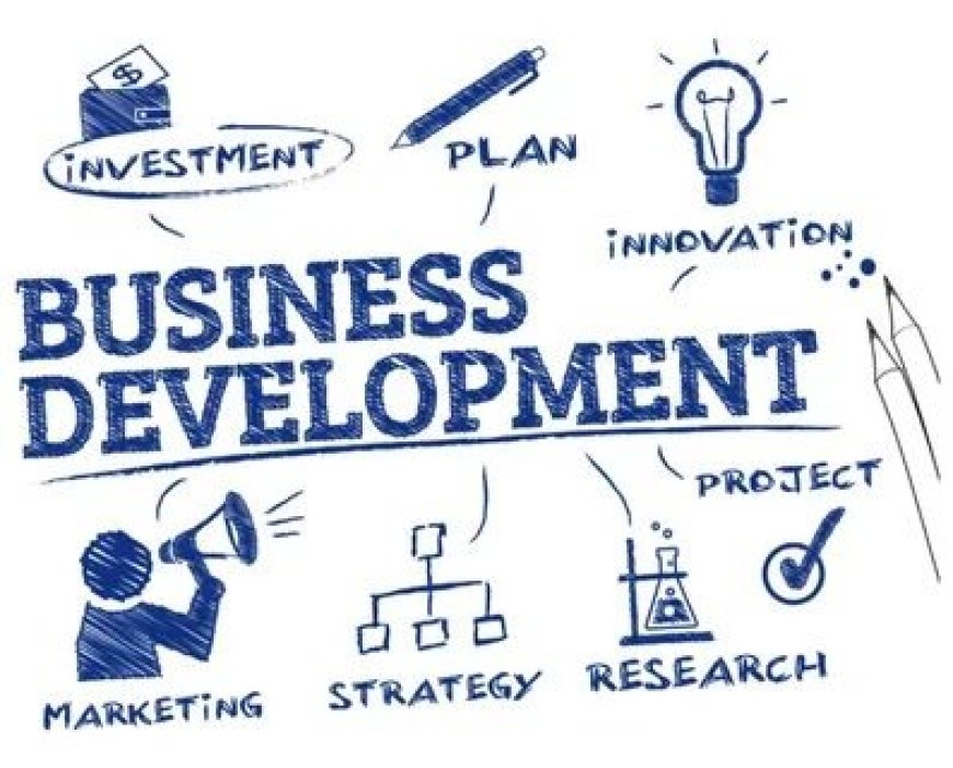 Ark Business Development Process Step-by-Step