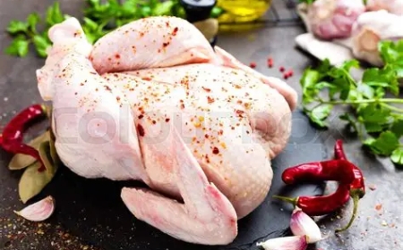 Fresh Chicken Tastes Better and Where to Buy the Best Cuts