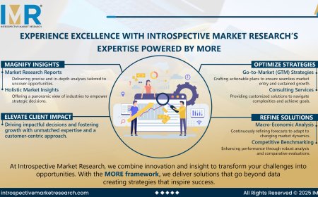 Thermal Fan Clutch  Market Comprehensive Overview & Forecast 2024–2032