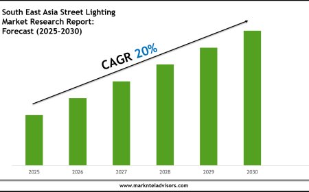 South East Asia Street Lighting Market Report 2025–2030: Size, Share & Forecast