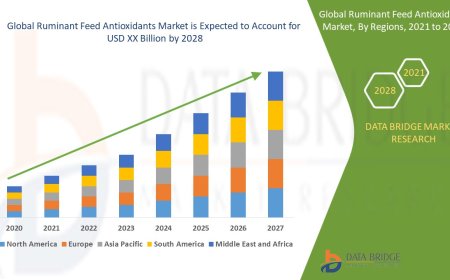 Ruminant Feed Antioxidants Market Expands Due to Focus on Animal Health and Feed Efficiency