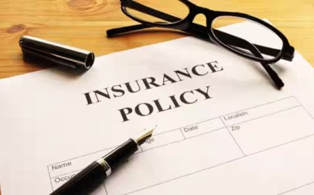 A Beginner’s Guide to Insurance Policy Limit Lookup