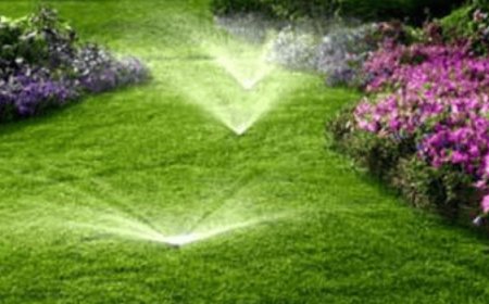 Finding the Right Irrigation Experts in Texas