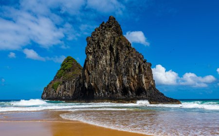 Turkish Airlines New York City Office – Your Gateway to Global Travel