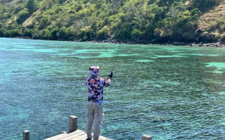 A Journey Through Flavor and Discovery