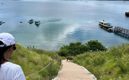 Begin Your Journey with Our Most Loved Tours