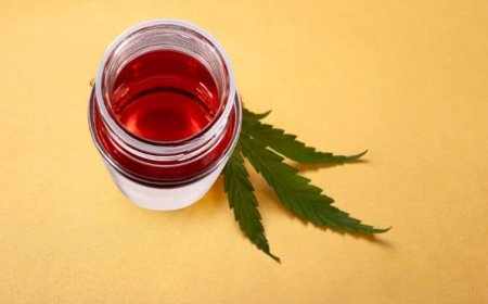 How Delta 9 Distillate Vitals Impact Your Wellness Routine