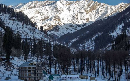 Top Things to Do in Manali: For Every Kind of Traveler