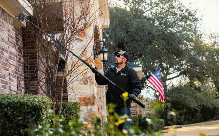 Seasonal Pest Guide: What to Expect in Waco Each Season