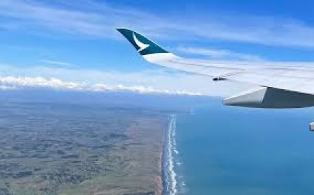 Resolving Seat Downgrades Using American Airlines Phone Number Denver