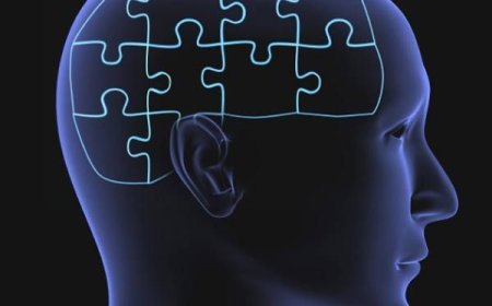 Cognitive Security Market: Current Trends and Future Outlook