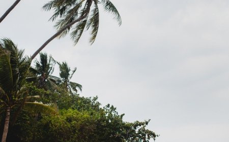 Best Honeymoon Places to Visit in Summer Season