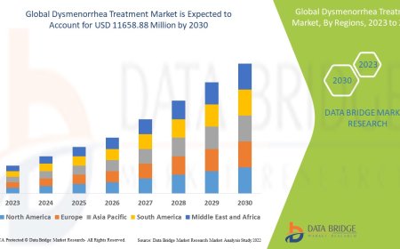 Dysmenorrhea Treatment Market: Size, Share, and Growth Forecast to 2030
