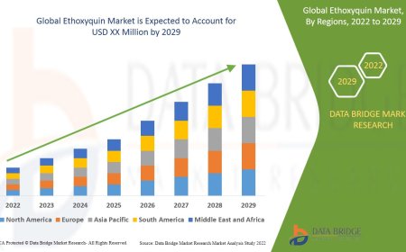 Ethoxyquin Market Dynamics: Trends and Forecast to 2029