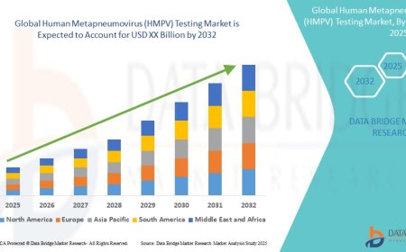 Human Metapneumovirus (HMPV) Testing  Market: Insights and Competitive Analysis