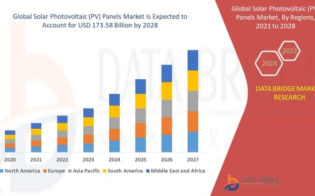Solar Photovoltaic (PV) Panels Market: Trends and Growth Opportunities