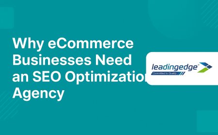 Why eCommerce Businesses Need an SEO Optimization Agency