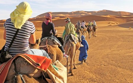 The Ultimate Desert Safari Experience in Sharjah: Tips & Highlights