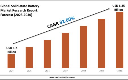Solid-state Battery Market Forecast 2025–2030: Key Players, Trends & Outlook