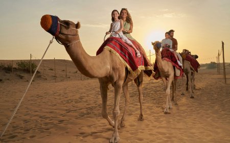 Dubai Desert Safari – The Ultimate Adventure in the Dunes