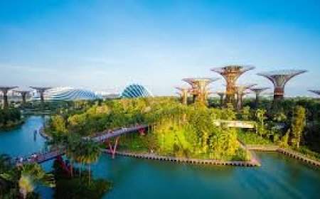 9 Common Mistakes to Avoid When Using a Travel Agency in Lahore