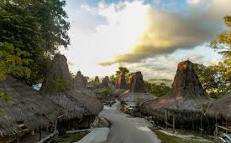 Which Travel and Tour Packages Offer the Best Value for Families?