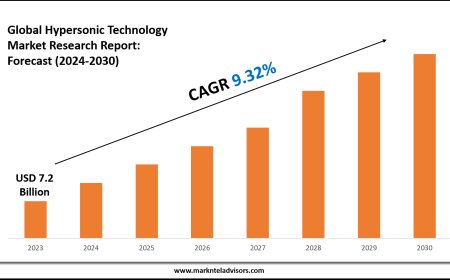 Hypersonic Technology Market Forecast 2024–2030: Key Players, Trends & Outlook