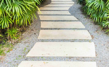 Say Goodbye to Straight Lines in Modern Landscape Design