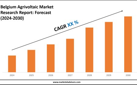 Belgium Agrivoltaic Market Scope, Volume and Executive Summary 2030