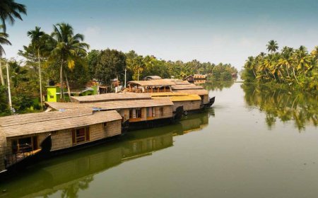 Munnar with Family: Kid-Friendly Activities & Scenic Spots