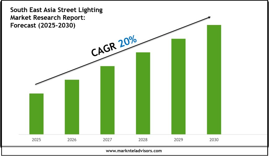 South East Asia Street Lighting Market Report 2025–2030: Size, Share & Forecast